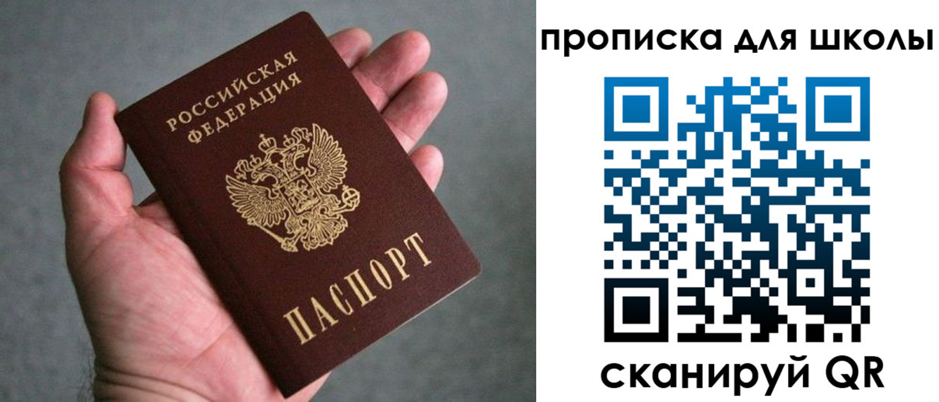 прописка штамп в Владимире